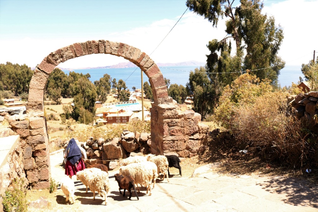 El Lago Titicaca 3 Publié le 30 septembre 2018 8310