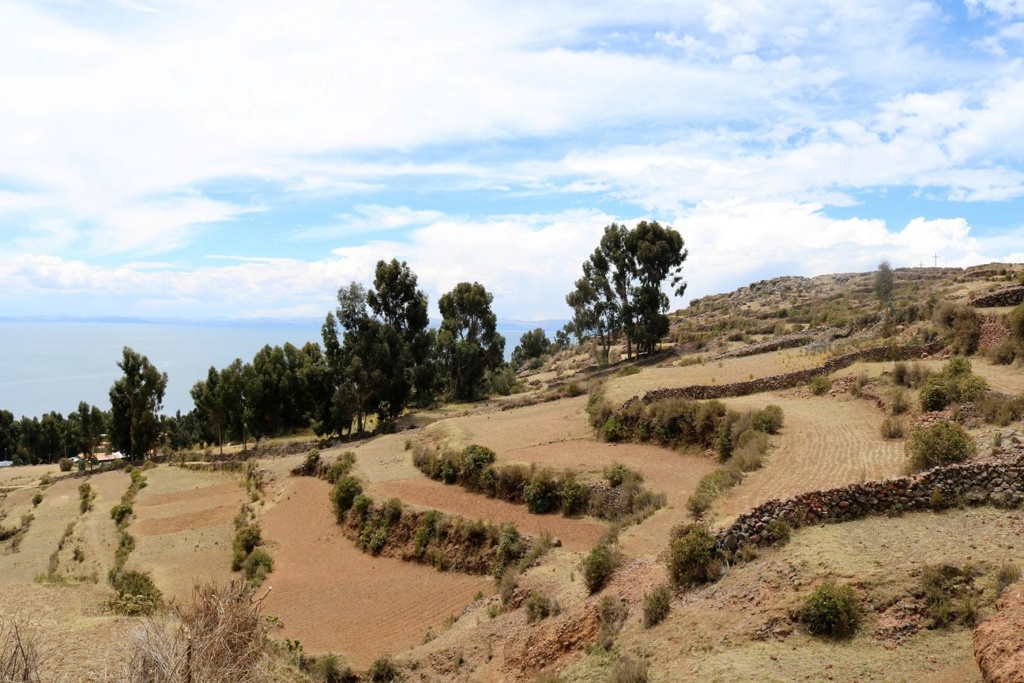 El Lago Titicaca 3 Publié le 30 septembre 2018 9910