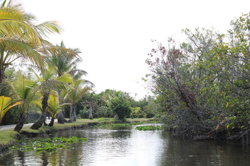 The Everglades …Alligators & Mosquitos Land  Publié le 28 mars 2019 par Alain et Stéphanie The_ev11