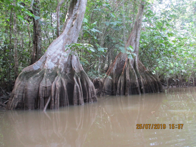 Les aventures de Titof en Guyane Img_0085