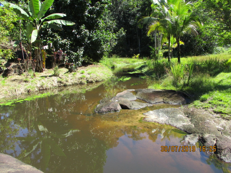 Les aventures de Titof en Guyane Img_0213