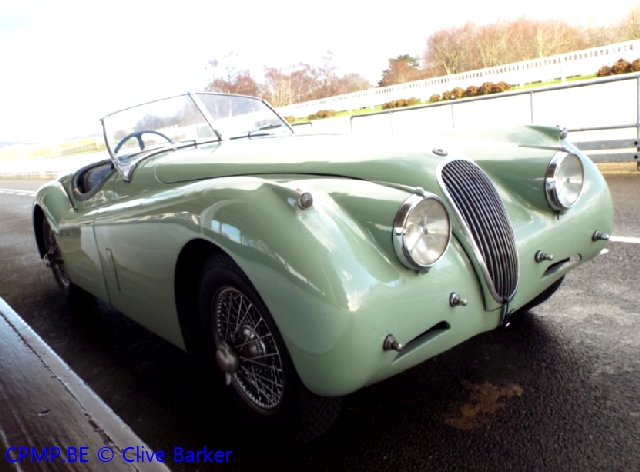 Kay's Alive and Kicking (Jaguar Special) A10310