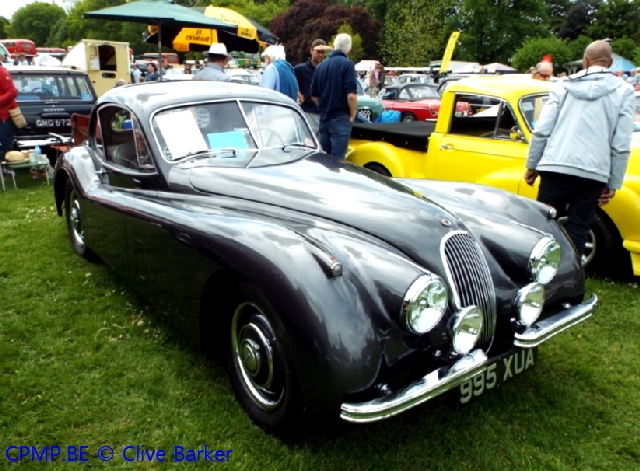 Kay's Alive and Kicking (Jaguar Special) A10410