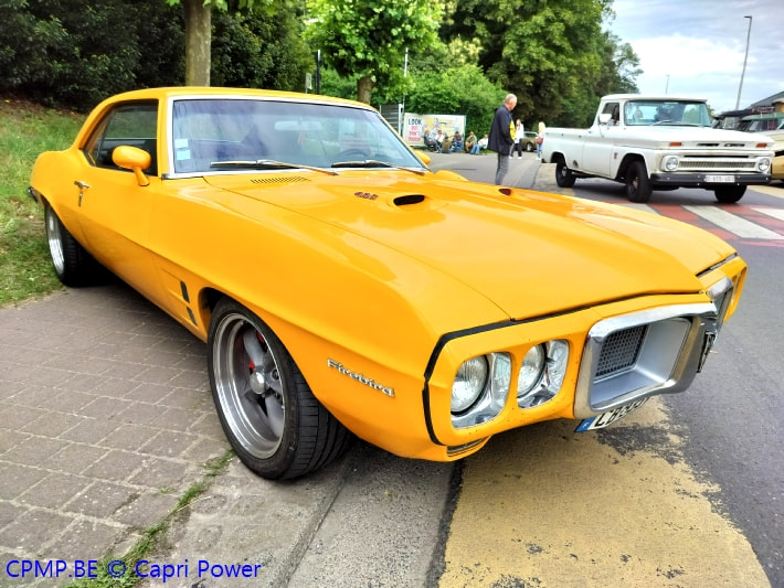 Automotive in Yellow Qimg2010