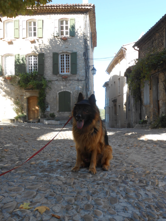 vaison la romaine Dscn3813