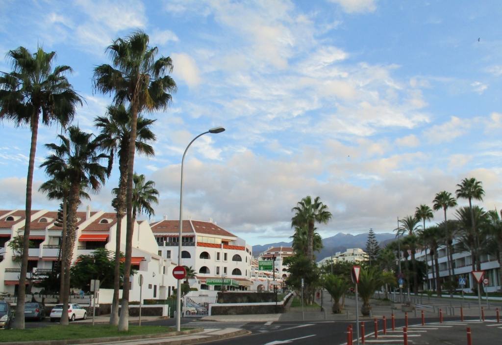 Tenerife  2021 Img_3122