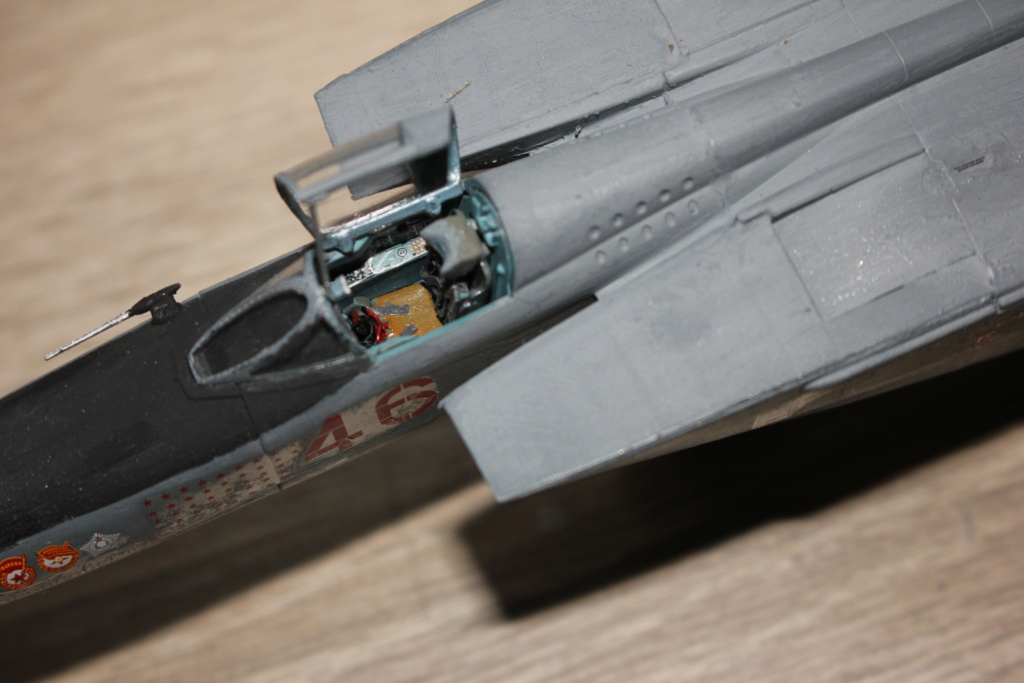 [revell (ICM)] 1/72 - MIG25 RBT "Foxbat B"  Img_1626