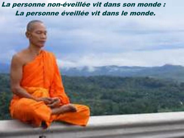 L'ignorant, le savant et le sage. - Page 2 Le_non10