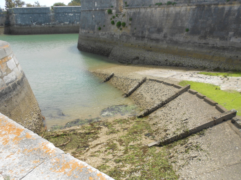 [COMPTE RENDU] Balade à L'Ile de Ré avec pique-nique le 23 juin Dscn2418