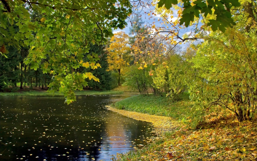 Landscape-pejzaži - Page 16 0012