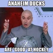 The Tampa Bay Times  Ducks10