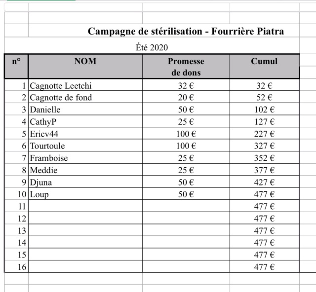 Campagne de stérilisation - Fourrière Piatra Neamt - été 2020 - Appel terminé Image12