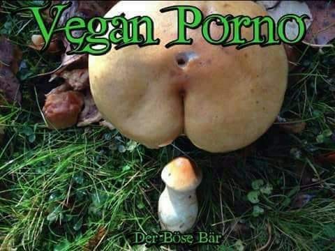 Vegan Porno 39279910
