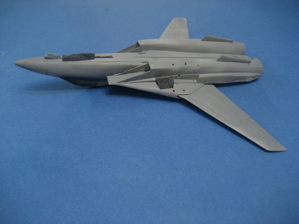 [ESCI]  F-14 A Tomcat - Page 2 20220141