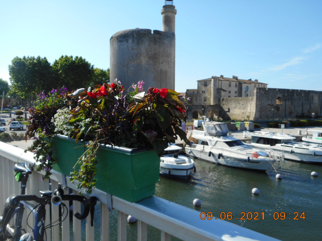 circuit n° 4 : Objectif Aigues-Mortes  Dscn0727