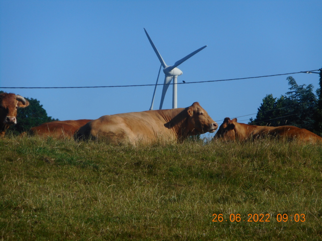 Brevet à Thérouanne ce dimanche 26 juin Dscn1822