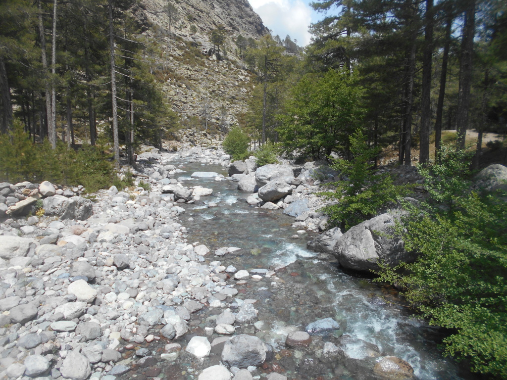 Corsica Chti Tour 2019 : étape du 11 juin Ile_ro22