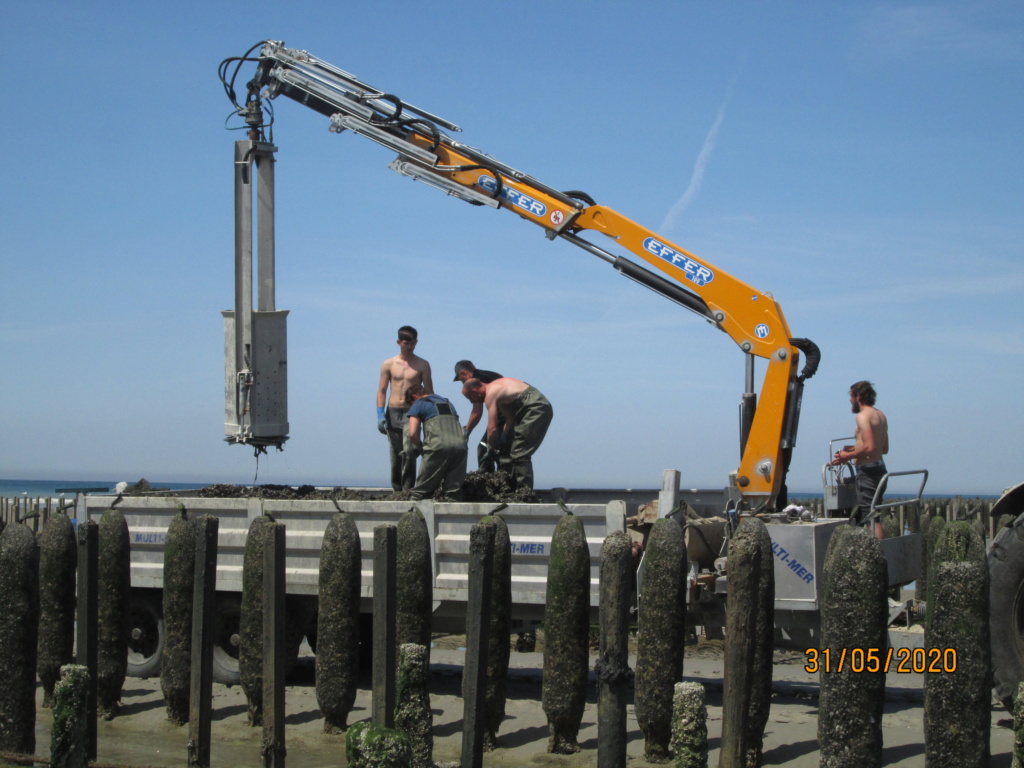 Berck-Le Crotoy -Berck Img_1241