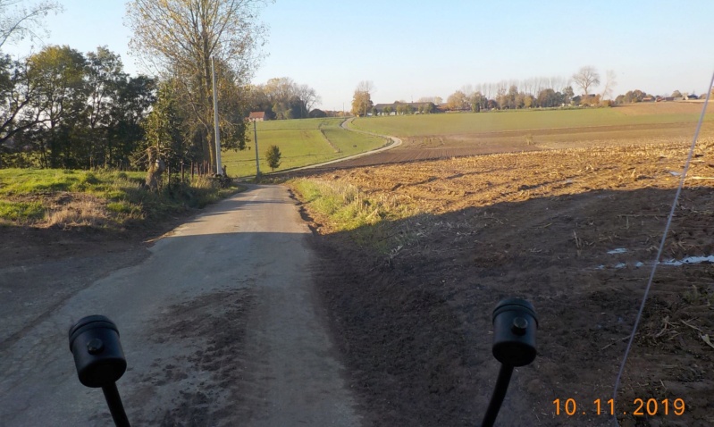 Comment se refroidir par un beau soleil (10-11-2019) Dscn4466