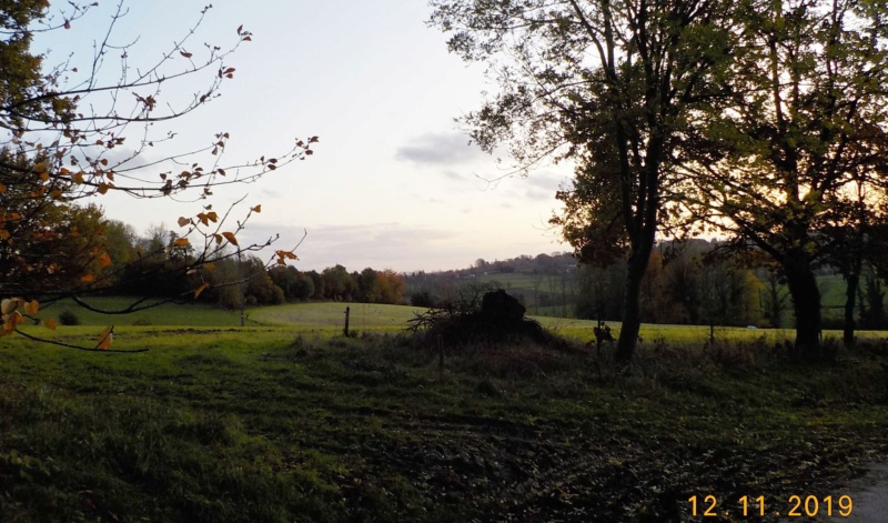 A la chasse, au coucher du soleil (12-11-2019) Dscn4513