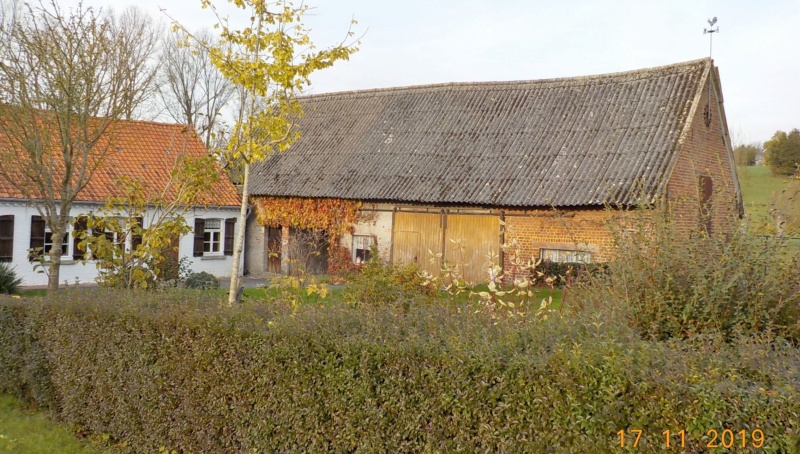 Sur les traces des sorcières d'Ellezelles 17-11-2019 Dscn4568