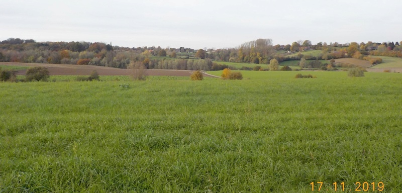 Sur les traces des sorcières d'Ellezelles 17-11-2019 Dscn4594