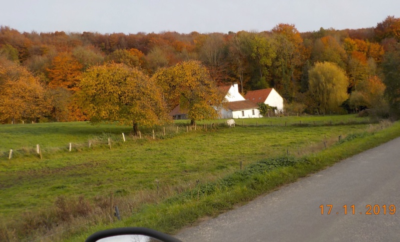 Sur les traces des sorcières d'Ellezelles 17-11-2019 Dscn4596