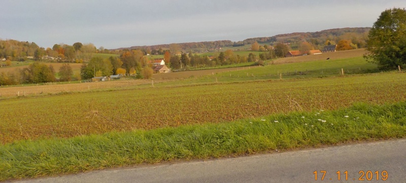 Sur les traces des sorcières d'Ellezelles 17-11-2019 Dscn4610