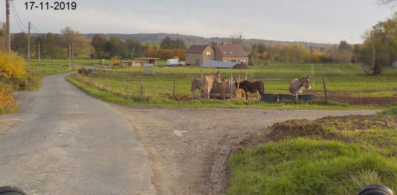 Sur les traces des sorcières d'Ellezelles 17-11-2019 Dscn4612