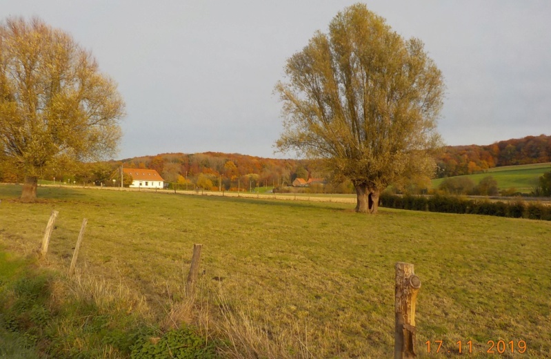 Sur les traces des sorcières d'Ellezelles 17-11-2019 Dscn4616