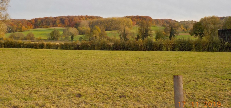 Sur les traces des sorcières d'Ellezelles 17-11-2019 Dscn4617