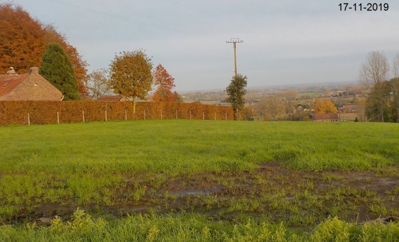 Sur les traces des sorcières d'Ellezelles 17-11-2019 Dscn4623