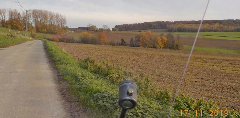 Sur les traces des sorcières d'Ellezelles 17-11-2019 Dscn4627