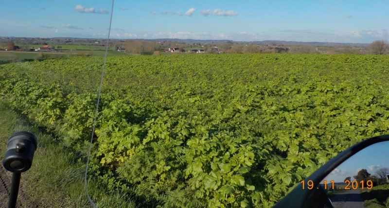 Route des Collines, à l'envers 19-11-2019 Dscn4664