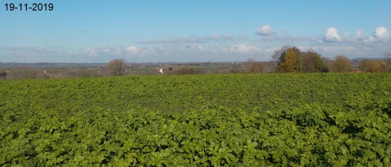 Route des Collines, à l'envers 19-11-2019 Dscn4665