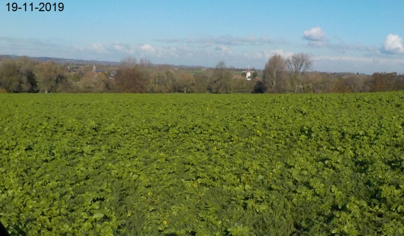 Route des Collines, à l'envers 19-11-2019 Dscn4666