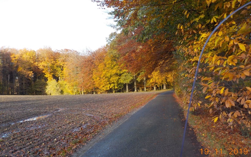 Route des Collines, à l'envers 19-11-2019 Dscn4693