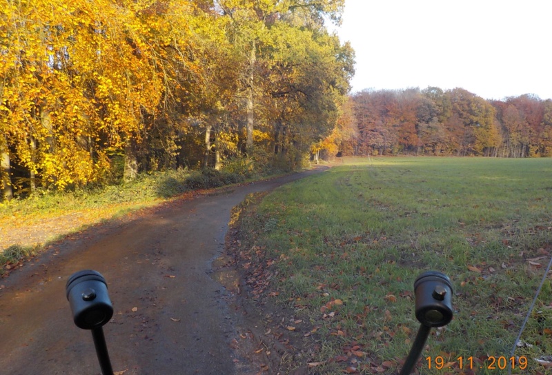 Route des Collines, à l'envers 19-11-2019 Dscn4694