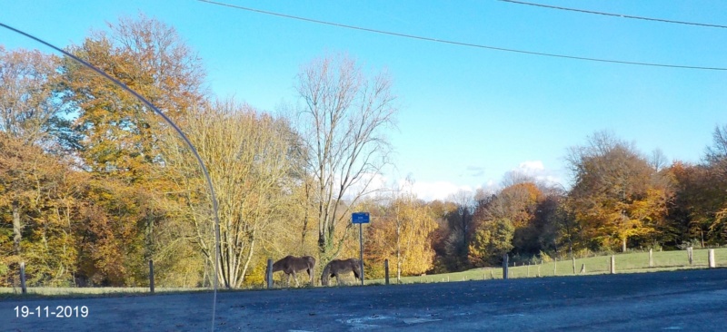 Route des Collines, à l'envers 19-11-2019 Dscn4696