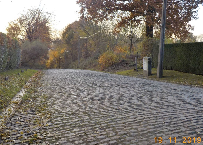 Route des Collines, à l'envers 19-11-2019 Dscn4748