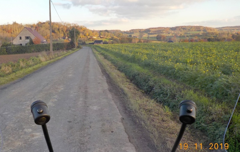 Route des Collines, à l'envers 19-11-2019 Dscn4757