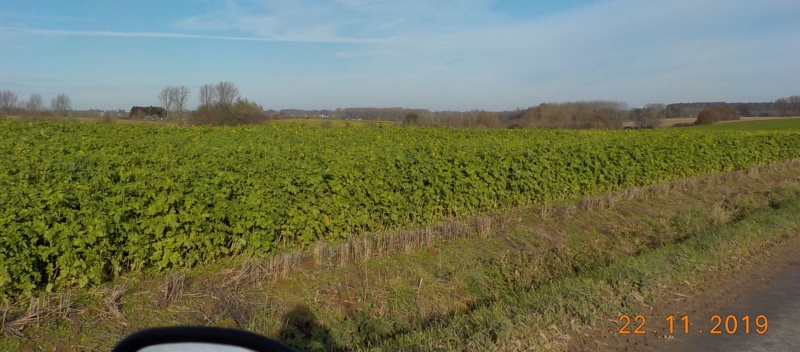 Séances de glisse avec les CityGliss dans le Pajottenland 22-11-2019 Dscn4845