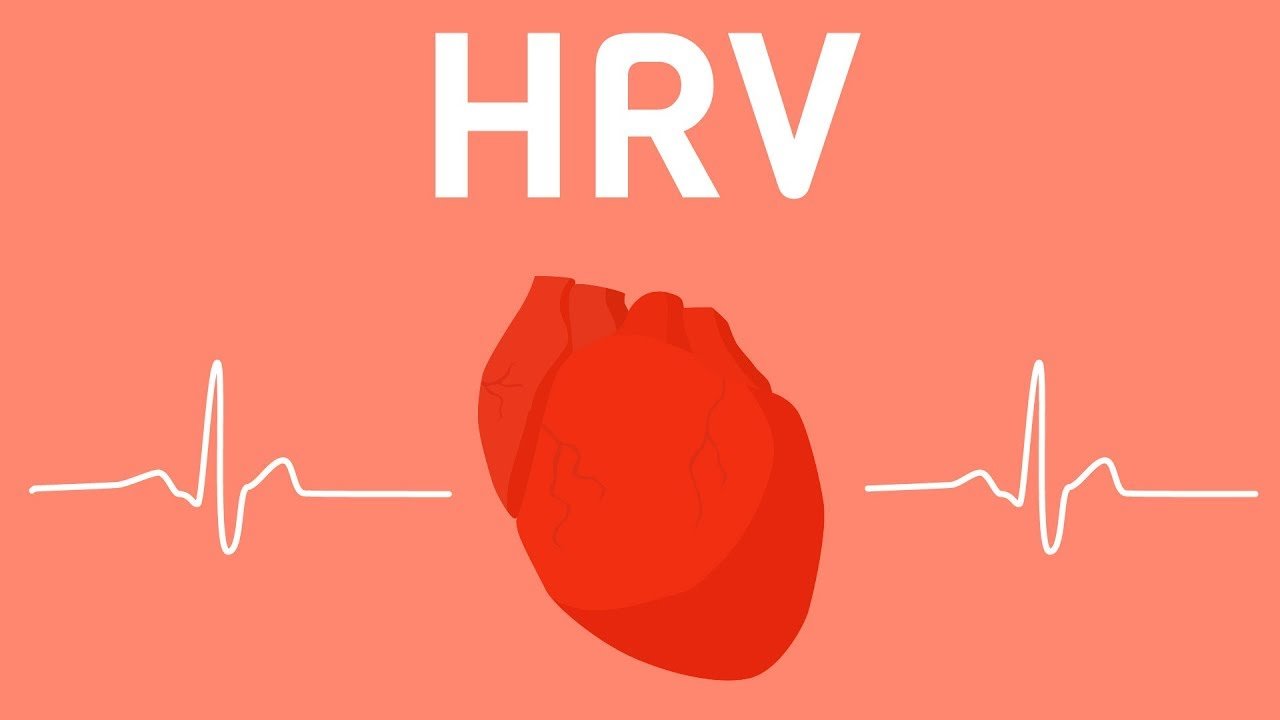 Tập chạy theo biến thiên nhịp tim (HRV) 21527710