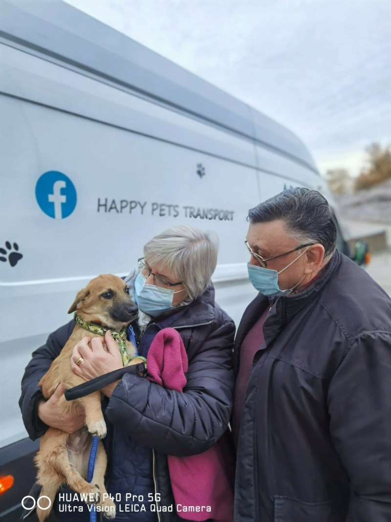 Photos du rapatriement du 21 et 22 novembre 2020 Recei313