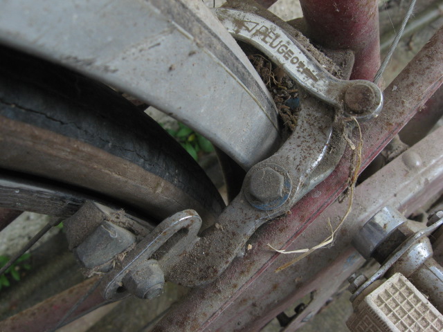 Peugeot, je ne sais rien d'autre Img_3315