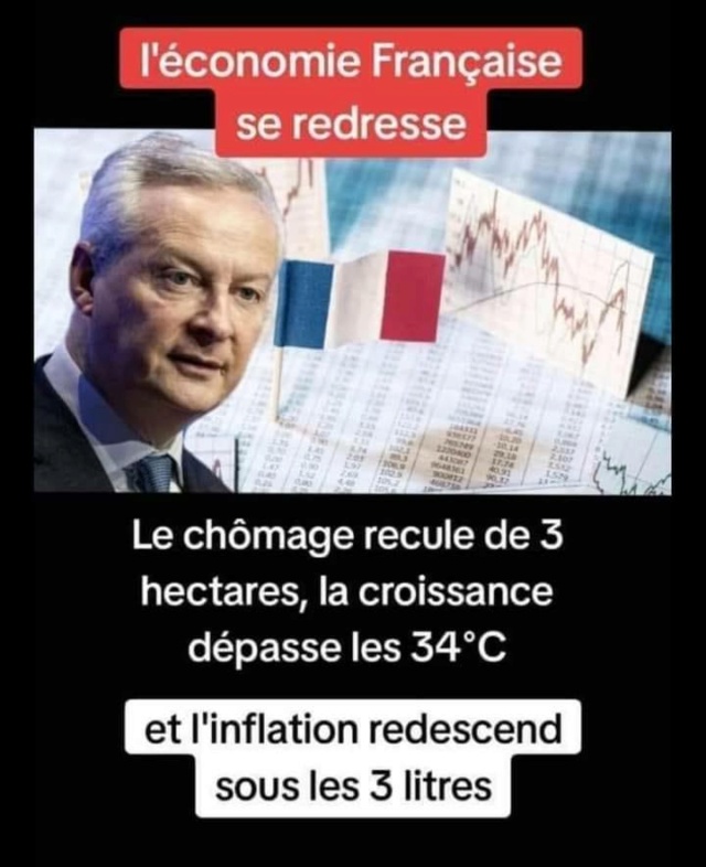 BRUNO LEMAIRE  43620810