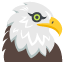 mésange à tête noire 1f98569