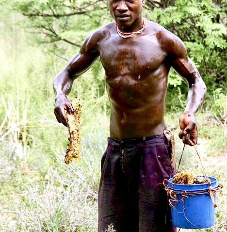 Le mutualisme... Un dialogue entre l’homme et l’oiseau en Afrique. Image_57