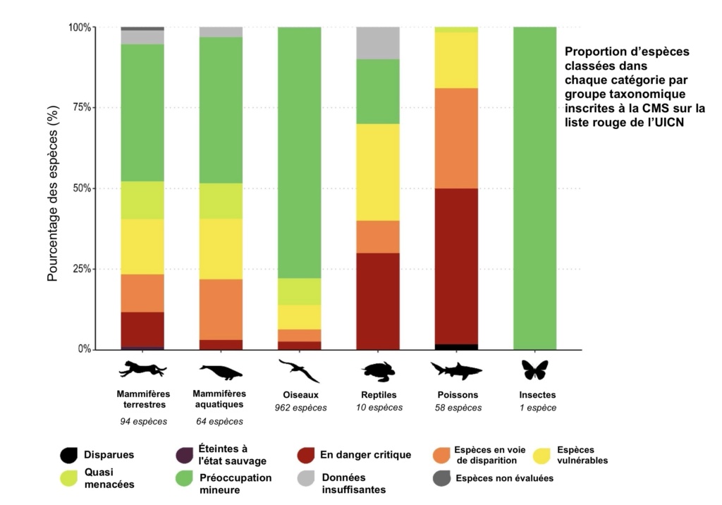 Rapport de la COP14 - Près de la moitié des espèces migratrices de la planète sont en déclin. Image_77