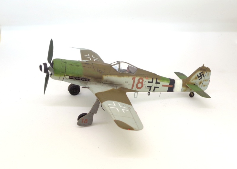 Focke Wulf FW.190D-9 - Tamiya - 1/72 Dsc07723